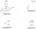 Fig. 06 - TETHERING CYSTEINE RESIDUES USING CYCLIC DISULFIDES
