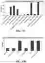 Fig. 44 - Systems, methods, and compositions for targeted nucleic acid editing