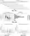 Fig. 63 - Systems, methods, and compositions for targeted nucleic acid editing