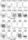 Fig. 71 - Systems, methods, and compositions for targeted nucleic acid editing
