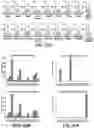 Fig. 72 - Systems, methods, and compositions for targeted nucleic acid editing