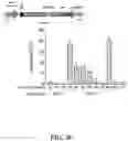 Fig. 79 - Systems, methods, and compositions for targeted nucleic acid editing