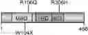 Fig. 01 - COMPOSITIONS AND METHODS FOR EDITING RNA