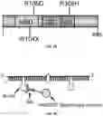 Fig. 02 - COMPOSITIONS AND METHODS FOR EDITING RNA