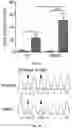 Fig. 04 - COMPOSITIONS AND METHODS FOR EDITING RNA