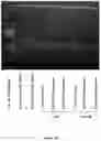 Fig. 28 - Method for pretreatment of microbial cells
