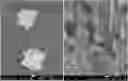 Fig. 01 - Pathogen lysis and nucleic acid extraction method using zinc oxide nanostar