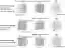 Fig. 01 - Combinatorial photo-controlled spatial sequencing and labeling