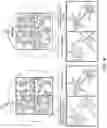 Fig. 05 - Combinatorial photo-controlled spatial sequencing and labeling