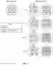 Fig. 08 - Combinatorial photo-controlled spatial sequencing and labeling