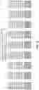 Fig. 09 - Combinatorial photo-controlled spatial sequencing and labeling