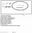 Fig. 02 - Recombinant fusion proteins and libraries from immune cell repertoires