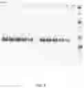 Fig. 09 - Recombinant fusion proteins and libraries from immune cell repertoires