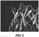 Fig. 08 - CROSS-LINKED EPITOPES AND METHODS OF USE THEREOF