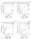Fig. 06 - METHODS AND COMPOSITIONS FOR ENHANCING THE EFFICACY AND SPECIFICITY OF RNA SILENCING