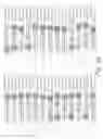 Fig. 08 - METHODS AND COMPOSITIONS FOR ENHANCING THE EFFICACY AND SPECIFICITY OF RNA SILENCING