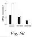 Fig. 09 - METHODS AND COMPOSITIONS FOR ENHANCING THE EFFICACY AND SPECIFICITY OF RNA SILENCING