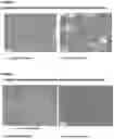 Fig. 02 - IMPROVED HEAT TREATABLE TITANIUM ALLOY