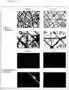 Fig. 02 - Method for preparing specimen for analysis or observation of skin
