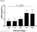 Fig. 06 - COMPOSITION FOR PREDICTING OR DIAGNOSING LIVER DISEASE, AND LIVER DISEASE PREDICTION OR DIAGNOSIS METHOD USING SAME