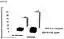 Fig. 17 - COMPOSITION FOR PREDICTING OR DIAGNOSING LIVER DISEASE, AND LIVER DISEASE PREDICTION OR DIAGNOSIS METHOD USING SAME