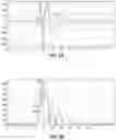 Fig. 06 - Consistent arrival time measurement and determination of discharge polarity