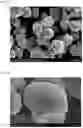 Fig. 02 - Positive electrode active material for lithium secondary battery and preparation method thereof