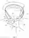 Fig. 09 - Jacket, tie and shirt combination