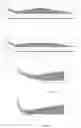 Fig. 02 - TOOTHPICK FOR ORAL HYGIENE