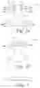 Fig. 02 - Absorbent article