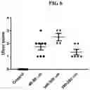 Fig. 07 - EMBOLIC MICROSPHERES AND METHODS