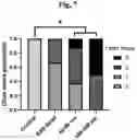 Fig. 08 - EMBOLIC MICROSPHERES AND METHODS