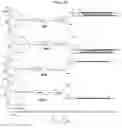 Fig. 09 - Carbohydrate conjugates as delivery agents for oligonucleotides