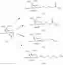 Fig. 102 - Carbohydrate conjugates as delivery agents for oligonucleotides