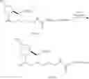 Fig. 106 - Carbohydrate conjugates as delivery agents for oligonucleotides