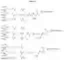 Fig. 12 - Carbohydrate conjugates as delivery agents for oligonucleotides