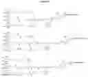 Fig. 13 - Carbohydrate conjugates as delivery agents for oligonucleotides