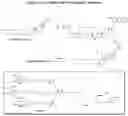 Fig. 19 - Carbohydrate conjugates as delivery agents for oligonucleotides