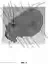 Fig. 02 - MODULAR BICYCLE TRAINER
