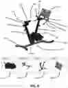 Fig. 09 - MODULAR BICYCLE TRAINER
