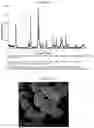 Fig. 02 - Photocatalysts based on bismuth oxyhalide, process for their preparation and uses thereof