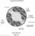 Fig. 06 - Methods and systems for removing nitrates in Zero Liquid Discharge applications