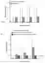 Fig. 02 - Composition comprising a peptide and an inhibitor of viral neuraminidase