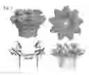 Fig. 02 - Mutant pores