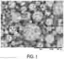 Fig. 02 - Cellulose derivative particles, cosmetic composition, and method for producing cellulose derivative particles