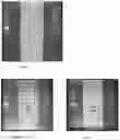 Fig. 02 - Biodegradable cellulose fiber-based substrate, its manufacturing process, and use in an adhesive tape