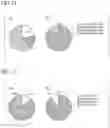 Fig. 08 - Differentiation-promoted pluripotent stem cell and use thereof