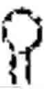 Fig. 02 - RNA replicon for versatile and efficient gene expression