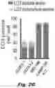 Fig. 06 - Methods of treating Danon disease