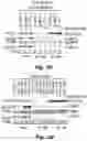 Fig. 08 - Methods of treating Danon disease